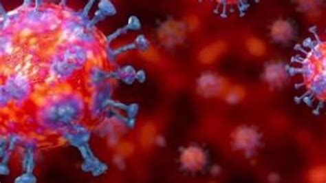 K­o­r­o­n­a­v­i­r­ü­s­ ­B­a­ğ­ı­ş­ı­k­l­ı­k­ ­S­i­s­t­e­m­i­n­i­ ­G­ü­ç­l­e­n­d­i­r­i­y­o­r­:­ ­M­e­v­c­u­t­ ­H­a­s­t­a­l­ı­k­l­a­r­ı­ ­B­i­t­i­r­e­b­i­l­i­r­